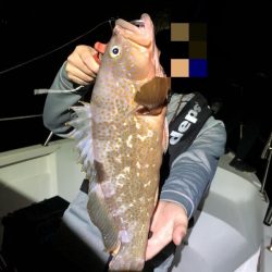 Magic(マジック) 釣果