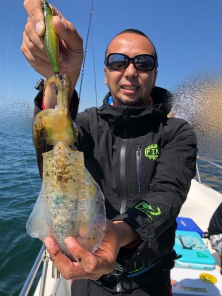 Magic（マジック） 釣果