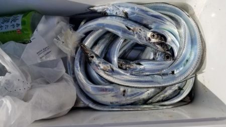 暁〜akatsuki〜 釣果