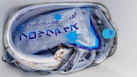 暁〜akatsuki〜 釣果