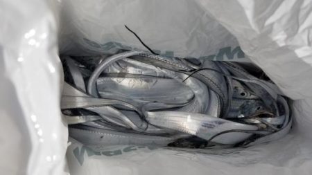 暁〜akatsuki〜 釣果