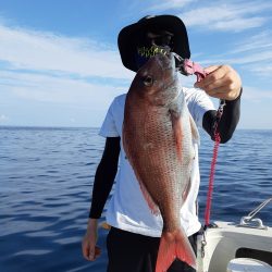 海峰 釣果