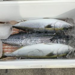 八海丸 釣果