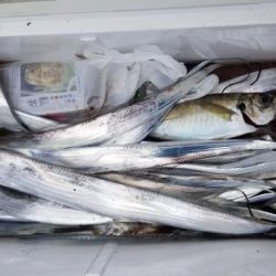 暁〜akatsuki〜 釣果