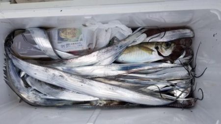 暁〜akatsuki〜 釣果