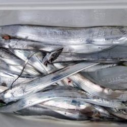 暁〜akatsuki〜 釣果