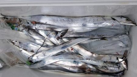 暁〜akatsuki〜 釣果