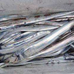 暁〜akatsuki〜 釣果