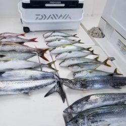 暁〜akatsuki〜 釣果