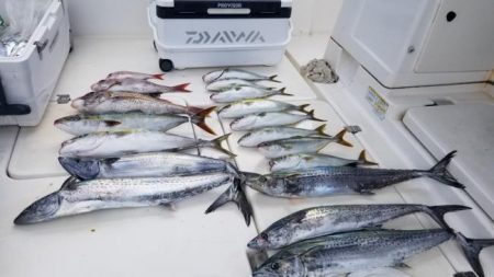 暁〜akatsuki〜 釣果