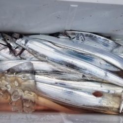 暁〜akatsuki〜 釣果