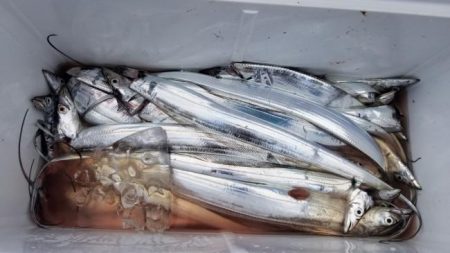 暁〜akatsuki〜 釣果