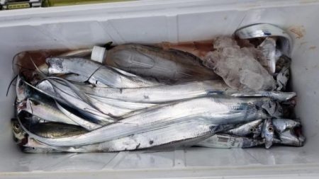 暁〜akatsuki〜 釣果