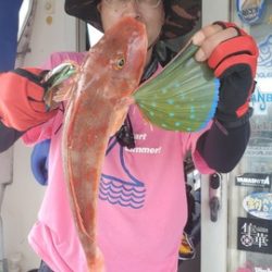 遊漁船 ニライカナイ 釣果