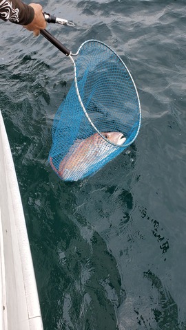遊漁船　ニライカナイ 釣果