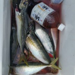 第五慶門丸 釣果