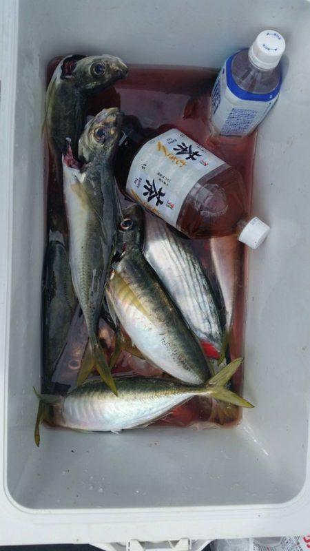 第五慶門丸 釣果