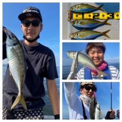 シーマジカル 釣果