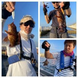 シーマジカル 釣果