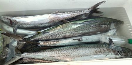 TOPGUN名古屋 釣果