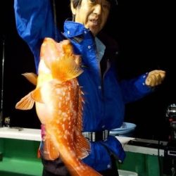 第二むつ漁丸 釣果