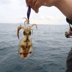 まるいち丸 ZERO-1 釣果