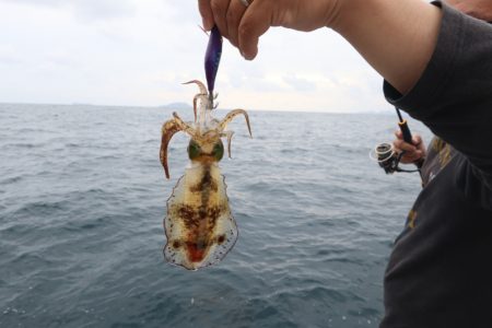 まるいち丸 ZERO-1 釣果