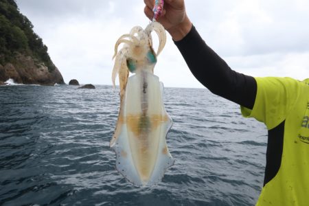 まるいち丸 ZERO-1 釣果