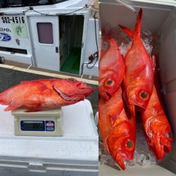 番匠高宮丸 釣果