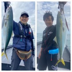 シーマジカル 釣果