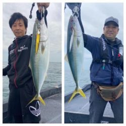 シーマジカル 釣果