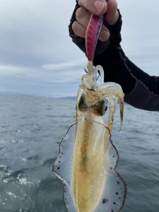 白墨丸 釣果