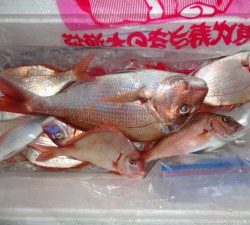 功成丸 釣果