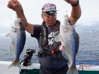 増福丸 釣果