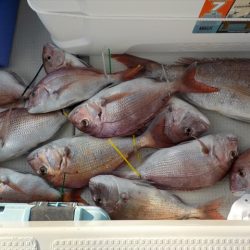 HARUKA丸 はるかまる 釣果