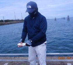 鹿島港魚釣園 釣果