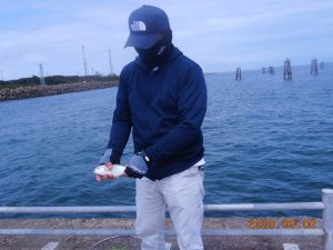 鹿島港魚釣園 釣果