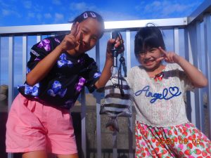 鹿島港魚釣園 釣果