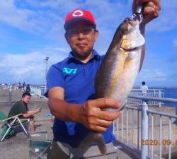 鹿島港魚釣園 釣果