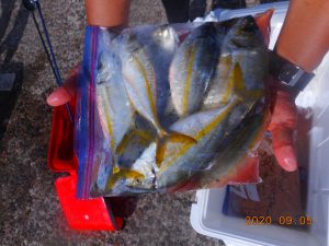 鹿島港魚釣園 釣果