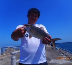 鹿島港魚釣園 釣果