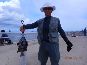 鹿島港魚釣園 釣果