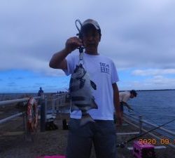 鹿島港魚釣園 釣果