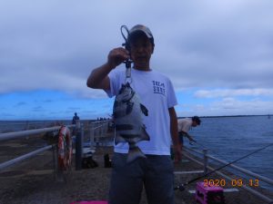 鹿島港魚釣園 釣果