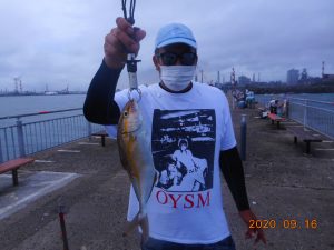鹿島港魚釣園 釣果