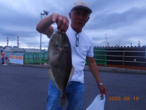 鹿島港魚釣園 釣果