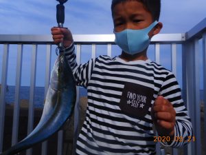 鹿島港魚釣園 釣果