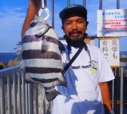 鹿島港魚釣園 釣果