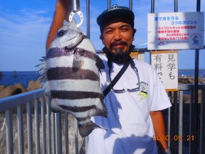 鹿島港魚釣園 釣果