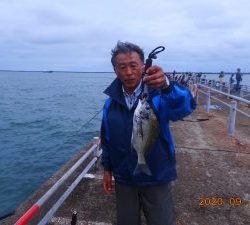 鹿島港魚釣園 釣果